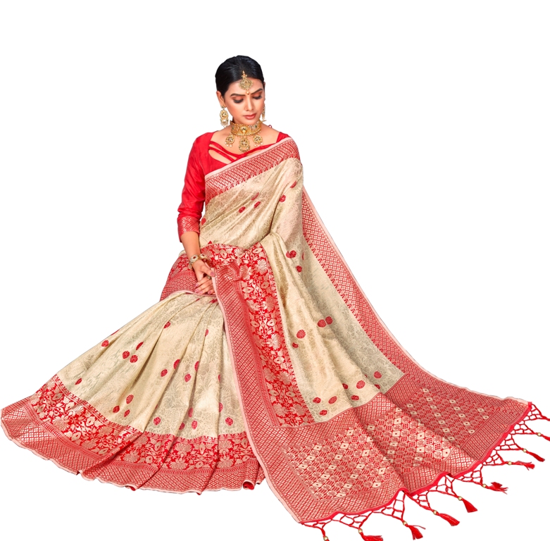 This Festive Season Look The Most Elegant Of All Wearing This Designer Silk based Saree